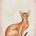 Abyssinian Cat Painting by Garden Of Delights Abyssinian Cat Painting by Garden Of Delights