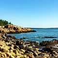 Acadia National Park Coast Photograph by Amelia Pearn Acadia National Park Coast Photograph by Amelia Pearn