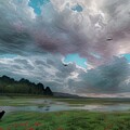 Across The Field by Call Me Abbie - Abbie Shores