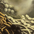Actinobacteria in compost Digital Art by Kate Solbakk Actinobacteria in compost Digital Art by Kate Solbakk