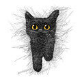 Adorable Black Kitten with Big Yellow Eyes - Transparent PNG by Lena Owens