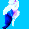 Adornment Digital Art by Jeremiah Ray Adornment Digital Art by Jeremiah Ray