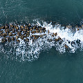 Aerial view from a flying drone of blue sea water and break water. Sea wall coastline Photograph by Michalakis Ppalis Aerial view from a flying drone of blue sea water and break water. Sea wall coastline Photograph by Michalakis Ppalis
