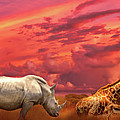 African animals sunset panorama Photograph by Benny Marty African animals sunset panorama Photograph by Benny Marty