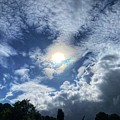 After rain the Sun Photograph by Colette V Hera Guggenheim After rain the Sun Photograph by Colette V Hera Guggenheim