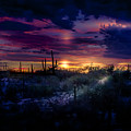 After the monsoon Photograph by Micah Offman After the monsoon Photograph by Micah Offman