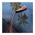 After the rain by Luz Resto