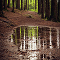 After the rains came Photograph by Gavin Lewis After the rains came Photograph by Gavin Lewis
