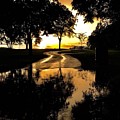 After the Storm in Echo Park Photograph by Donna Martin Artisan Light After the Storm in Echo Park Photograph by Donna Martin Artisan Light