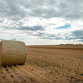 After the wheat harvest in Alberta Photograph by Karen Rispin After the wheat harvest in Alberta Photograph by Karen Rispin