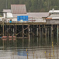 Alaska Pier Scene Photograph by Bill Posner