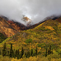 Alaska Range In Autumn Landscape Photograph by Dan Sproul