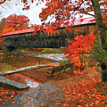 Albany Covered Bridge Rainy Afternoon by Robert Harris