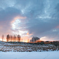 Alberta winter dawn Photograph by Karen Rispin Alberta winter dawn Photograph by Karen Rispin