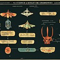 Alien Insects #1 Digital Art by Nickleen Mosher Alien Insects #1 Digital Art by Nickleen Mosher