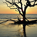 All Directions Converge at Sunrise on Jekyll Island by Bruce Gourley