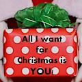 All I Want For Christmas Is YOU Photograph by Nancy Ayanna Wyatt All I Want For Christmas Is YOU Photograph by Nancy Ayanna Wyatt