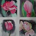 All Pink II Painting by Ruth Kamenev All Pink II Painting by Ruth Kamenev