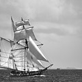All sails out. II Photograph by Frederic Bourrigaud All sails out. II Photograph by Frederic Bourrigaud