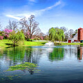 Allandale Lake in Spring Photograph by Shelia Hunt Allandale Lake in Spring Photograph by Shelia Hunt