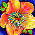 Allure Of The Lenton Rose by Rod Whyte