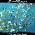 Almond Blossoms - VVG Painting by The GYPSY and Mad Hatter Almond Blossoms - VVG Painting by The GYPSY and Mad Hatter