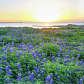 Almost Spring Photograph by Christopher Rice Almost Spring Photograph by Christopher Rice