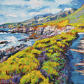 Along the Beach Path, Big Sur by David Lloyd Glover