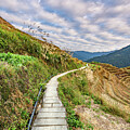 Along the Edge by Brian Kamprath