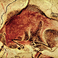 Altamira Bison at rest Digital Art by Weston Westmoreland Altamira Bison at rest Digital Art by Weston Westmoreland