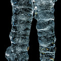 Amazing Natural Icicle by Stan Weyler