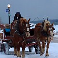 Amazon Delivery Dray by Keith Stokes