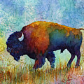 American Buffalo 5 Painting by Hailey E Herrera American Buffalo 5 Painting by Hailey E Herrera