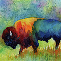 American Buffalo III Painting by Hailey E Herrera American Buffalo III Painting by Hailey E Herrera