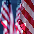 American Flags 2 Photograph by Amelia Pearn American Flags 2 Photograph by Amelia Pearn