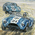 American Thunder  Shelby 1965 FIA GT Triumph by Yuriy Shevchuk