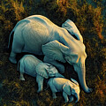 An aerial view of a family of elephants resting in the tall grass. The image showcases the gentle giants and their strong bond. by Arpan Bhatia