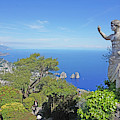 Anacapri, Italy Photograph by Yvonne Jasinski Anacapri, Italy Photograph by Yvonne Jasinski