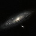 Andromeda Galaxy by Brian Shoemaker