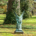 Angel  by Cathy Donohoue