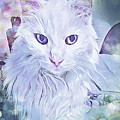 Angora Eyes Photograph by Tina Uihlein Angora Eyes Photograph by Tina Uihlein