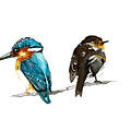 Angry Couple Painting by Pamela Schwartz Angry Couple Painting by Pamela Schwartz