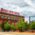 Anheuser Busch - Budweiser Sign - St Louis Photograph by Susan Rissi Tregoning Anheuser Busch - Budweiser Sign - St Louis Photograph by Susan Rissi Tregoning