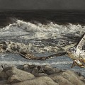 Another Balmy Day on Captain Hudson's Bay Painting by Greg Beecham
