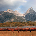 Another day in the Tetons Photograph by Go and Flow Photos Another day in the Tetons Photograph by Go and Flow Photos