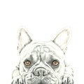 Another Monday Drawing by Karrie J Butler Another Monday Drawing by Karrie J Butler