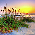 Another Stunning Sunrise on the Outer Banks Photograph by Dan Carmichael Another Stunning Sunrise on the Outer Banks Photograph by Dan Carmichael