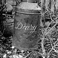Antique vintage dairy can black and white Photograph by Severija Kirilovaite Antique vintage dairy can black and white Photograph by Severija Kirilovaite