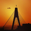Anzac Bridge Photograph by Sarah Lilja Anzac Bridge Photograph by Sarah Lilja