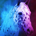 Appaloosa horse close up portrait in blue and violet Digital Art by Nicko Prints Appaloosa horse close up portrait in blue and violet Digital Art by Nicko Prints